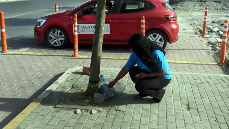 Avcılar'da Sokak Hayvanları Kesici Aletle Öldürüldü