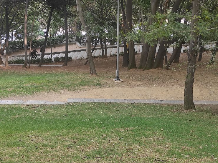 (Ek Fotoğraflarla)-tiyatro Ve Dizi Oyuncusu Seda Fettahoğlu Parkta Ölü Bulundu