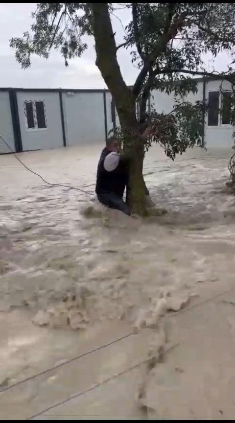 Ağaca Sarılarak Hayata Tutundu