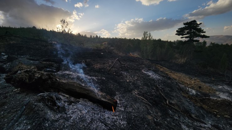 Konya'da Orman Yangını (2)