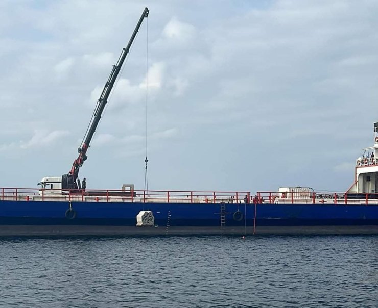 Marmara Denizi'ndeki Canlı Çeşitliliği Yapay Resiflerle Artırılacak
