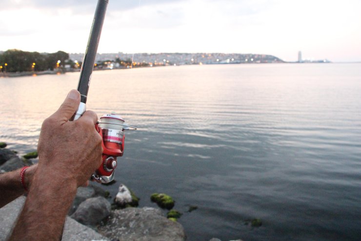 Olta Balıkçılığında Zargana Bereketi