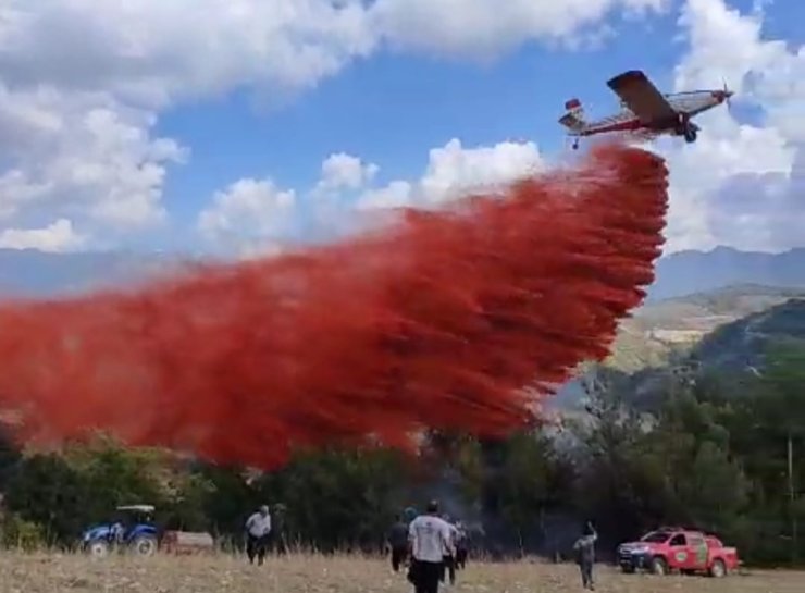 Adana'da İki Mahallede Orman Yangını