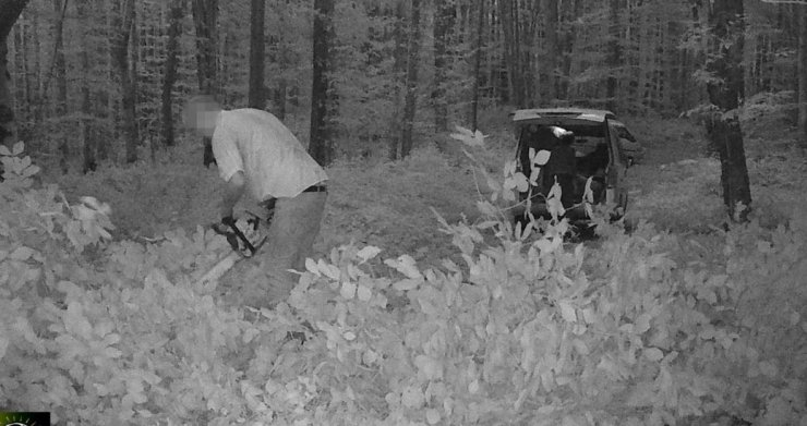 Kaçak Ağaç Keserken Fotokapana Yakalanan 3 Şüpheliye Gözaltı