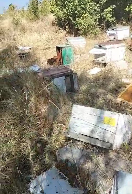 Mahalleye İnen Ayılar, Arı Kovanlarını Parçaladı