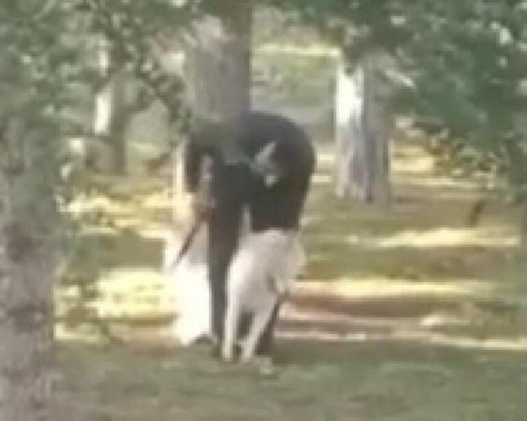 Parkta Köpeğe Sopalı-yumruklu Saldırıya Takipsizlik Kararı