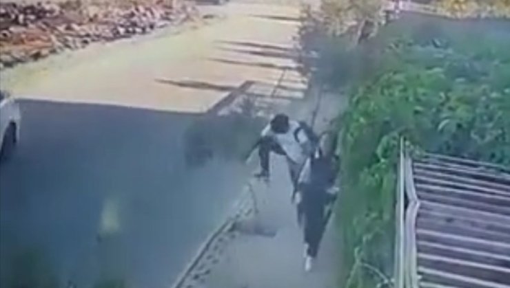 Yüzünü Çarptığı Zeytin Fidanının Dalını Kırdı