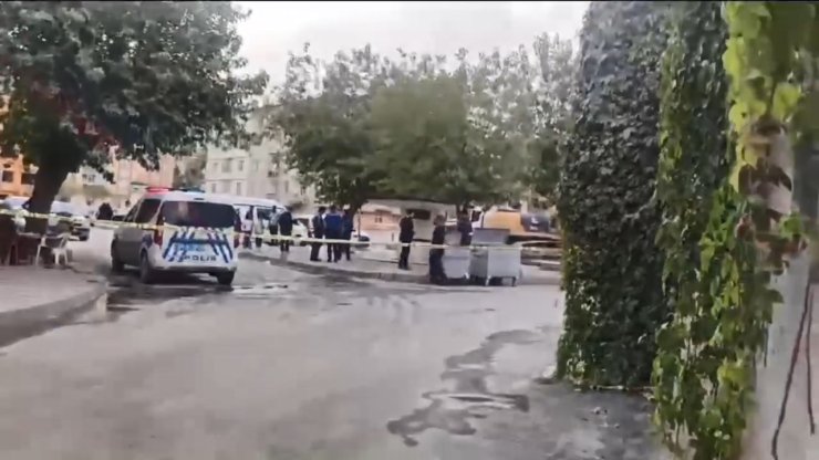 Elazığ'da İş Makinesi İle Kamyonun Arasında Kalan İnşaat İşçisi Öldü