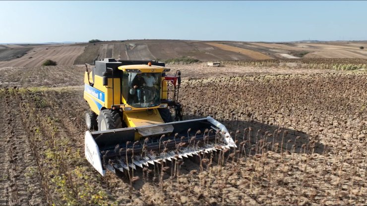 Çatalca’da Ayçiçek Hasadı Yapıldı