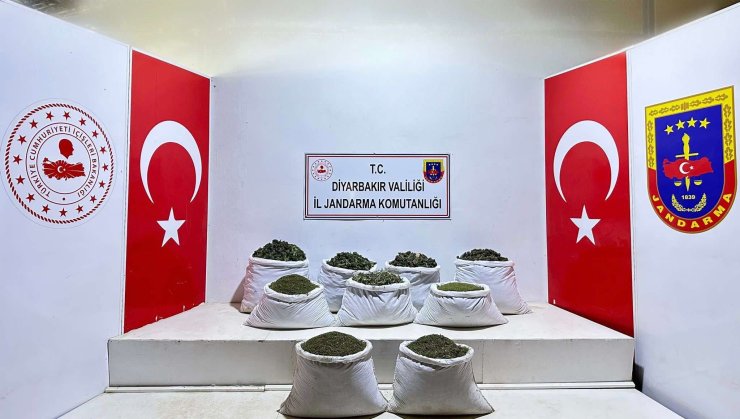 Diyarbakır’da 350 Bin 620 Kök Hint Keneviri Ve Skunk Bitkisi, 121 Kilo Esrar Ele Geçirildi