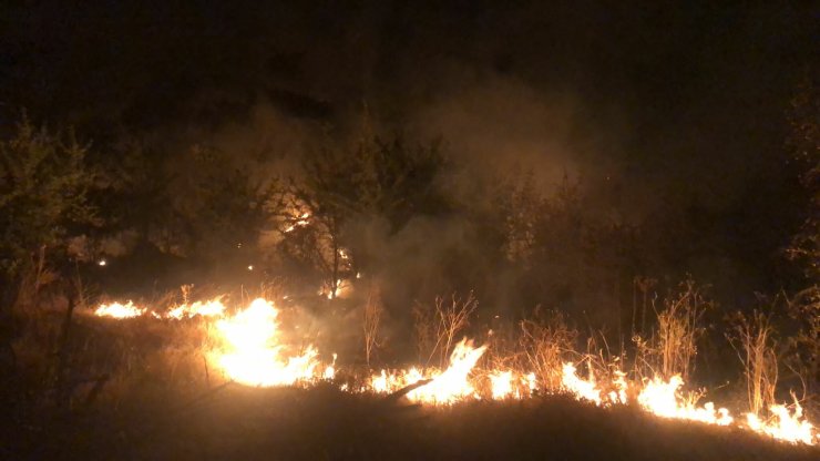 Manisa'da Çıkan Orman Yangını 2 Saatte Kontrol Altına Alındı