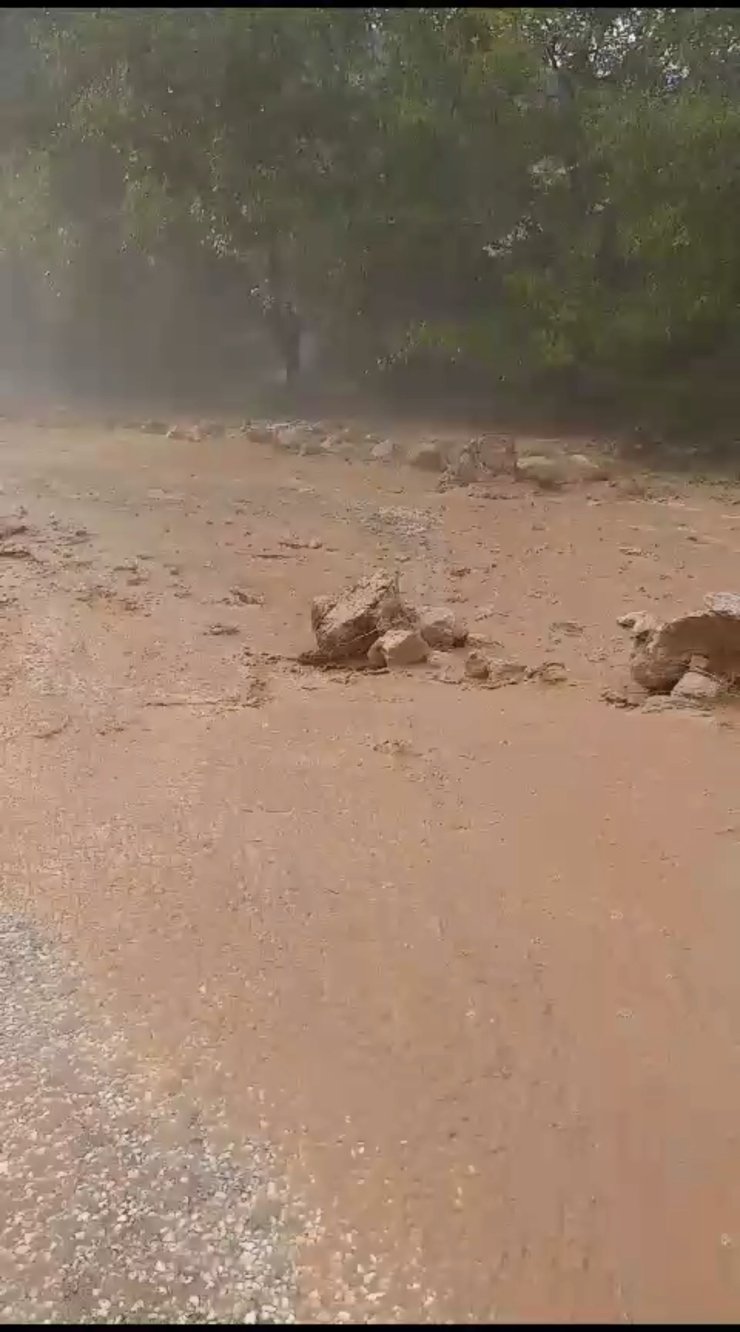 Elazığ'da Dolu Yağışı; Üzüm Bağları Zarar Gördü