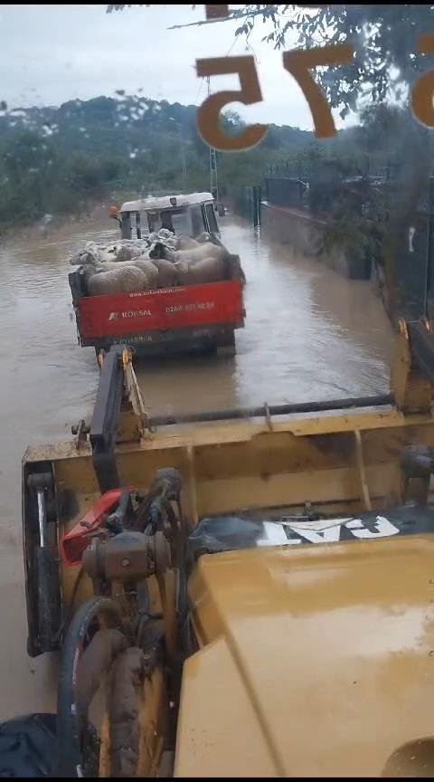 Şile'de Yağışın Ardından Dere Taştı-1