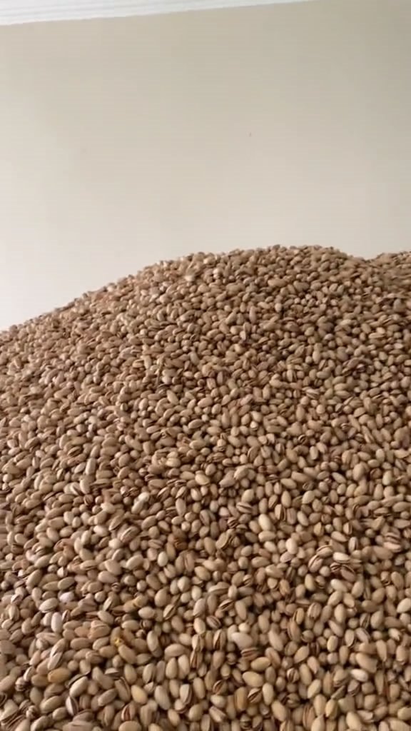 Tepki Çeken Görüntüler Sonrası 2 Ton Fıstığa El Konuldu