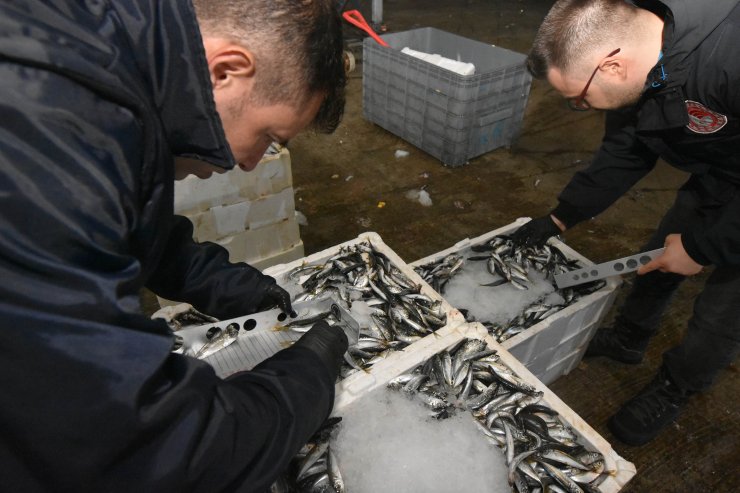 Yasa Dışı Su Ürünleri Avcılığına 81 İlde Denetim; 110 Kişiye Ceza