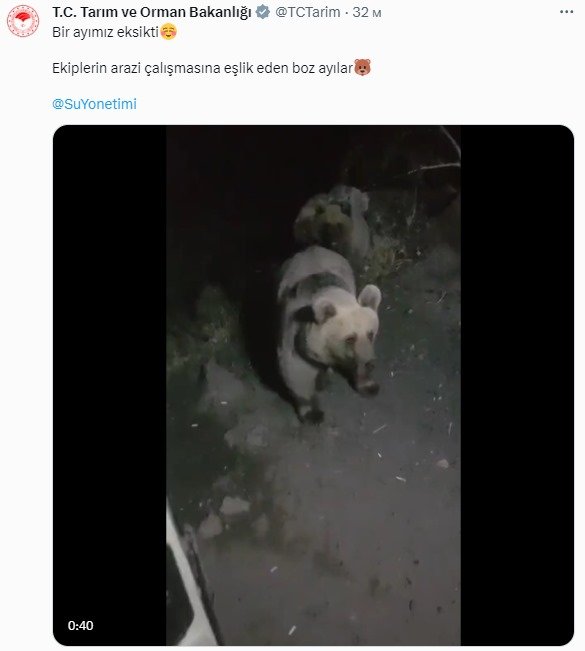 Boz Ayılar, Su Yönetimi Ekiplerinin Kamerasında