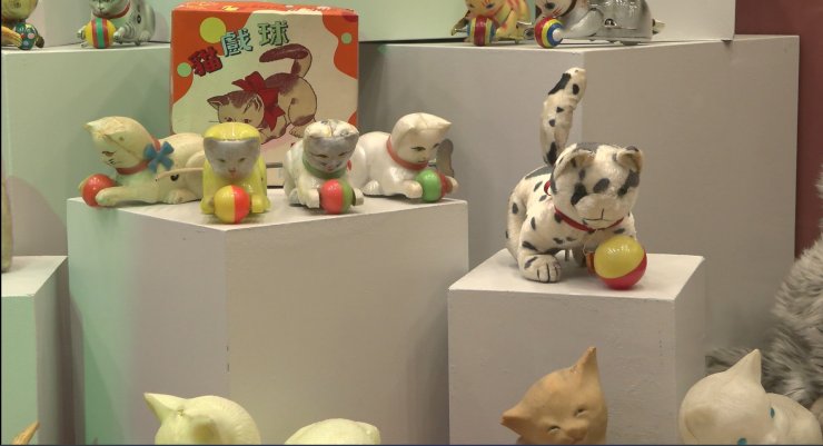 Beşiktaş’ta ‘Kedi Müzesi’ Açıldı