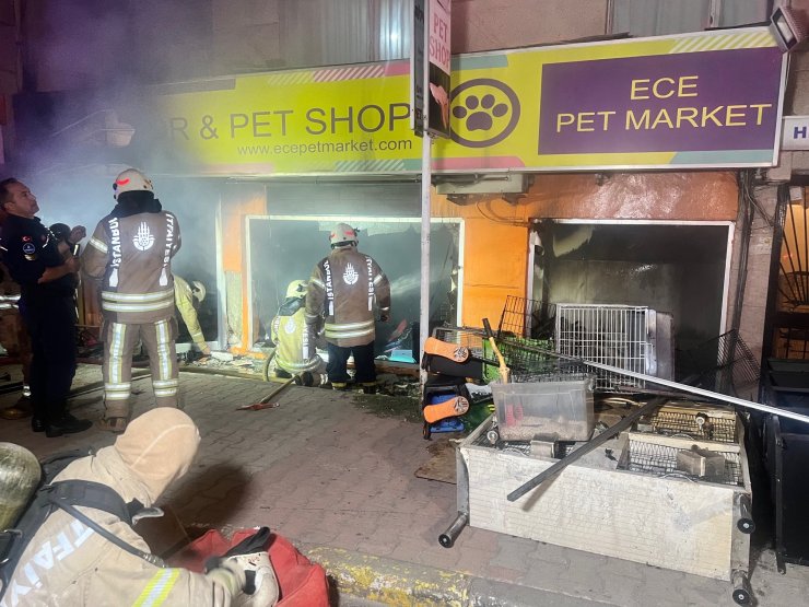 Maltepe'de Petshopta Yangın Çıktı