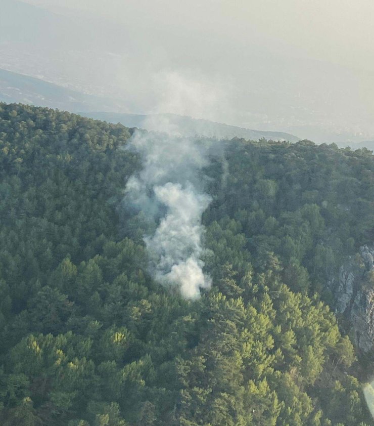 İzmir'de Orman Yangını 1 Saatte Kontrol Altına Alındı
