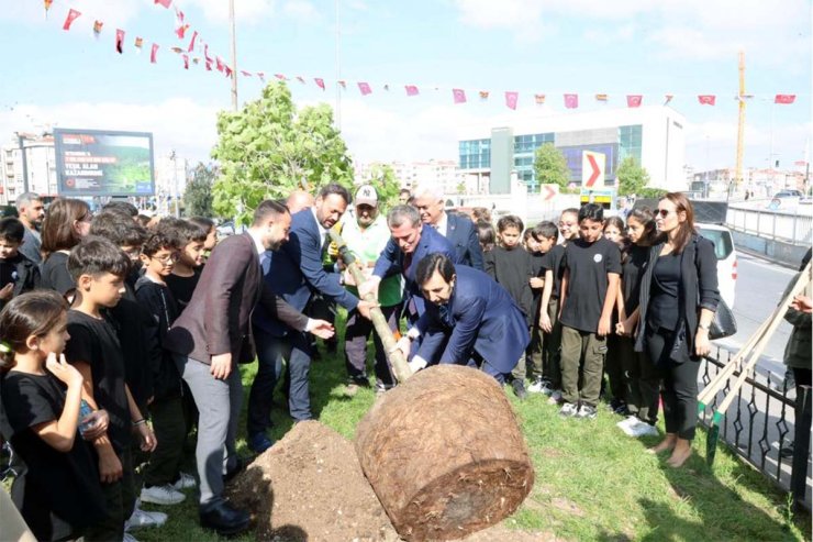 Zeytinburnu'nda Cumhuriyetin 100’üncü Yılına Özel 100 Çınar Dikilecek