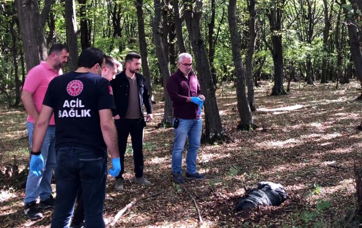 Koli Bantlarıyla Bağlanmış Poşette Ölü Köpek Bulundu