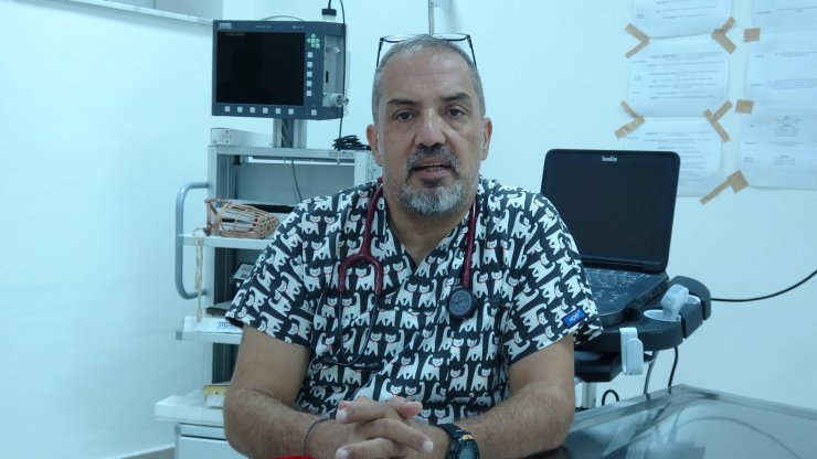 Prof. Dr. Uzlu: Koronavirüsün Kedilerde Görülme Oranı Yüzde 90'a Yükseldi