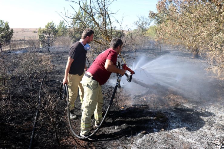Edirne'de Tem Kenarındaki Ormanda Yangın