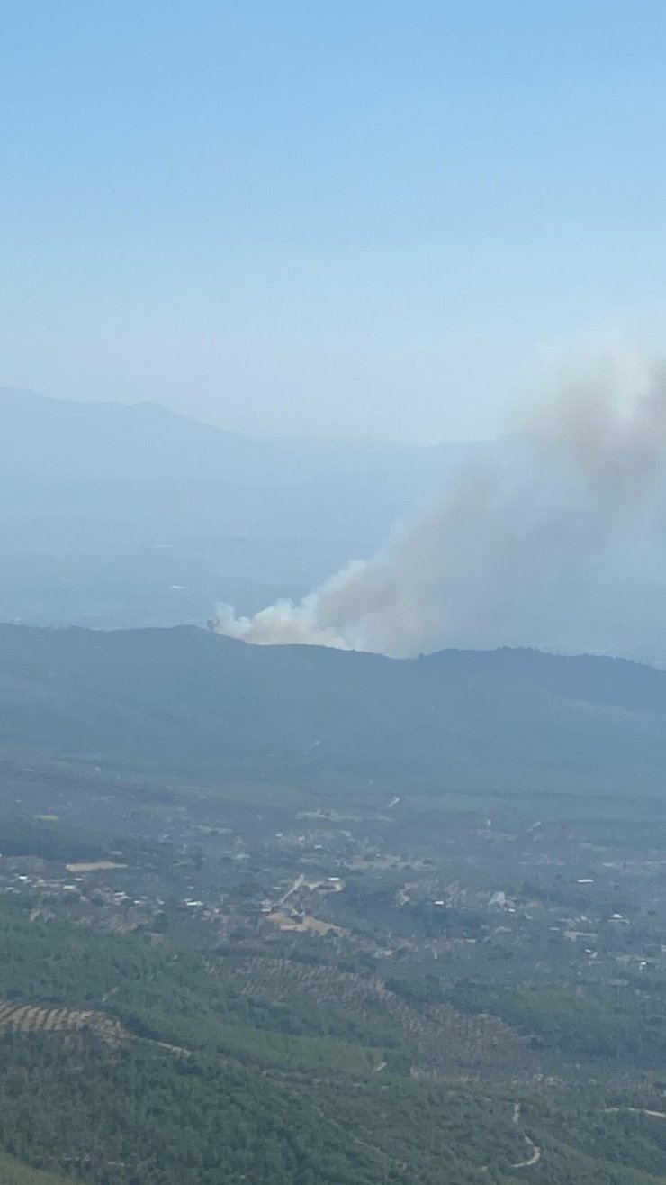 İzmir'de Orman Yangını