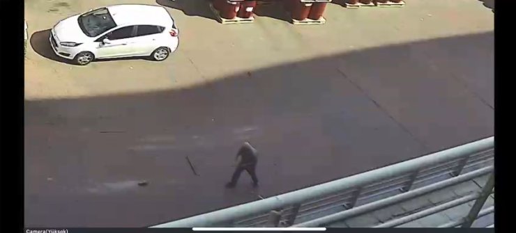 Başakşehir'de Yavru Kediye Şiddet Kamerada; Paspasla Sürükleyip Çöpe Attı