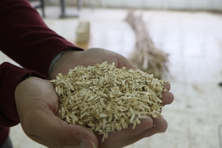 samsun-ondokuz-mayis-universitesi-omu-muhendislik-fakultesinde-kenevir-bitkisinin-saplarindan-binalarda-kullanilmak-uzere-yapi-malzemesi-uretildi-5.jpg