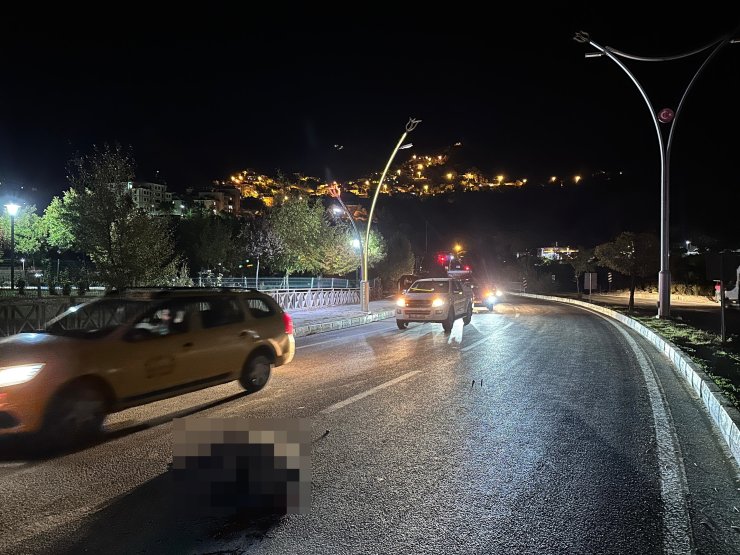 Tunceli’de 2 Otomobil Yola İnen Sürüye Daldı, 2 Domuz Öldü