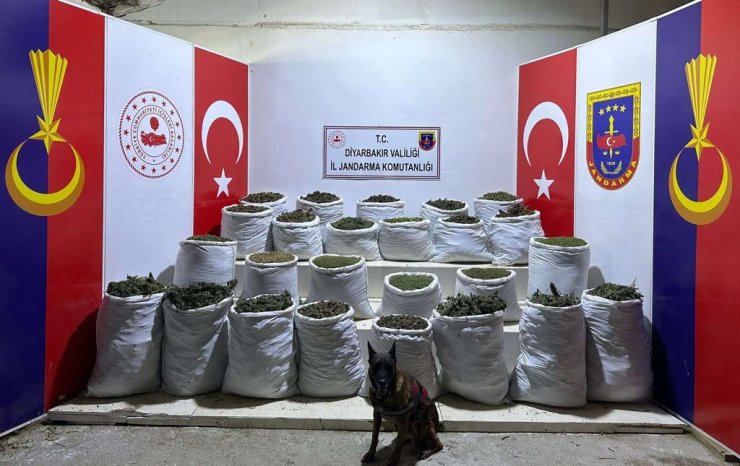 Diyarbakır'da, 603 Kilo Esrar İle 640 Bin 600 Kök Hint Keneviri Ve Skunk Ele Geçirildi
