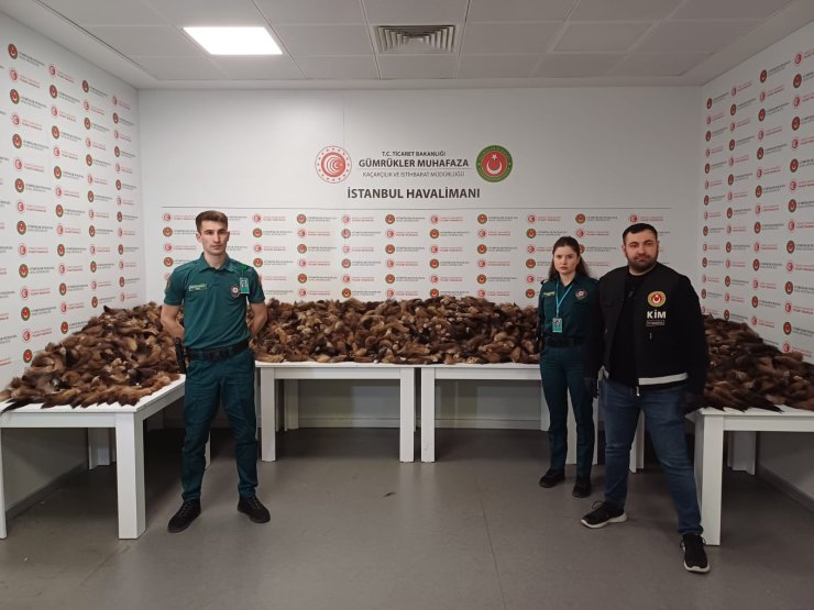 İstanbul Havalimanı'nda 10 Bin 300 Adet Tilki Kuyruğu Ele Geçirildi