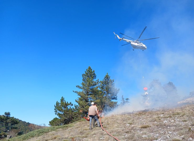 Kütahya'da Orman Yangını; 1 Hektar Alan Zarar Gördü