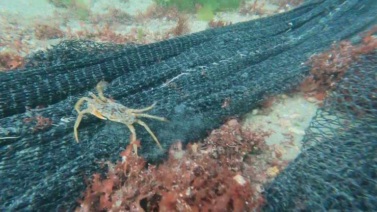 Marmara Denizi'nde 4 Noktada Hayalet Ağ Temizliği