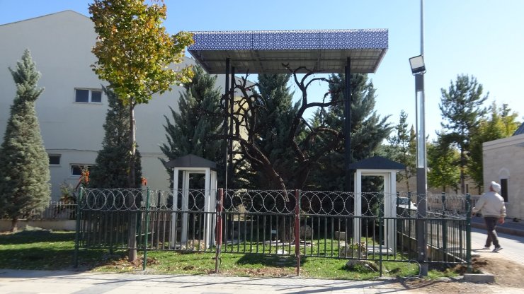 'şehitler Ağacı'ndan Künye Çalan Anne İle Oğluna Para Cezası