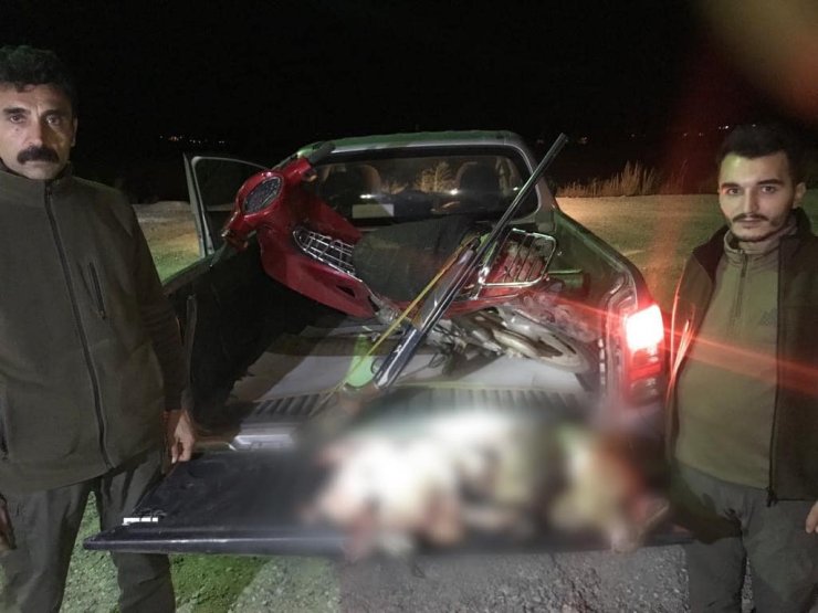 Tokat'ta Far Avı Yapan 2 Kişiye, 22 Bin 111 Lira Ceza