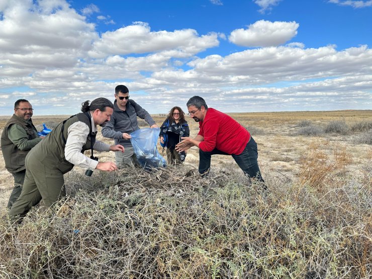 Türkiye’de 12 Çift Kalan Bozkır Kartallarının Yuvalarına Koruma