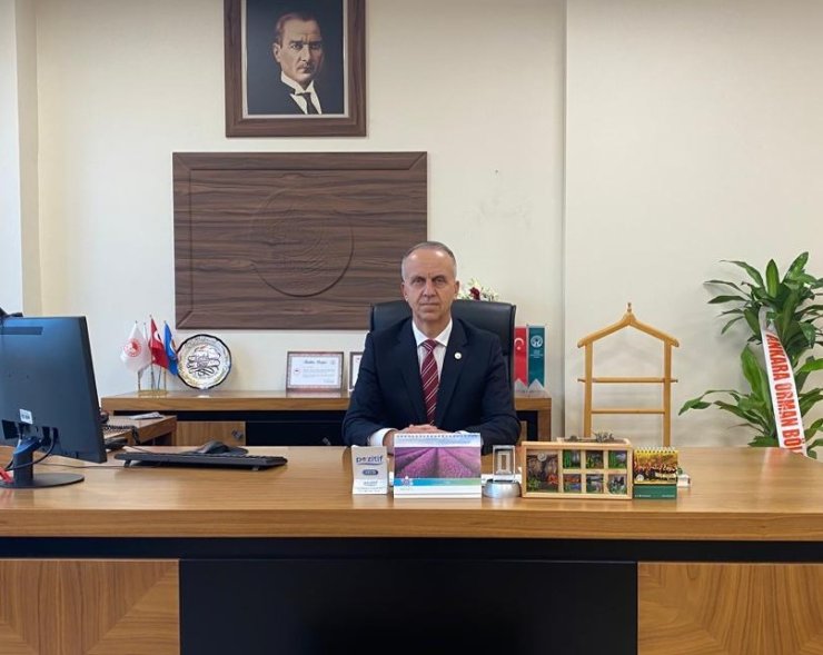 Orman Köylüsüne Isı Yalıtımı Desteği İle 63 Bin Ton Odun Tasarrufu