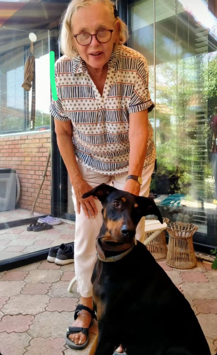 Berzeg'in Köpeği 'Tina', Kaybolmadan Önceki Haline Döndü