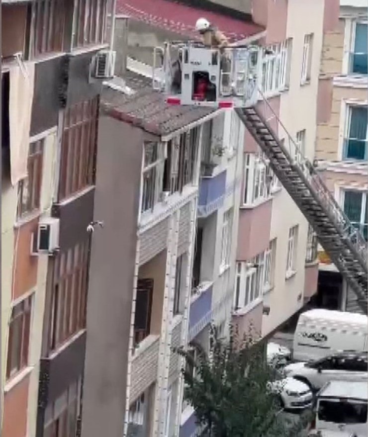 Sultangazi'de Çatıdan Düşen Yavru Kedi Koşarak Uzaklaştı