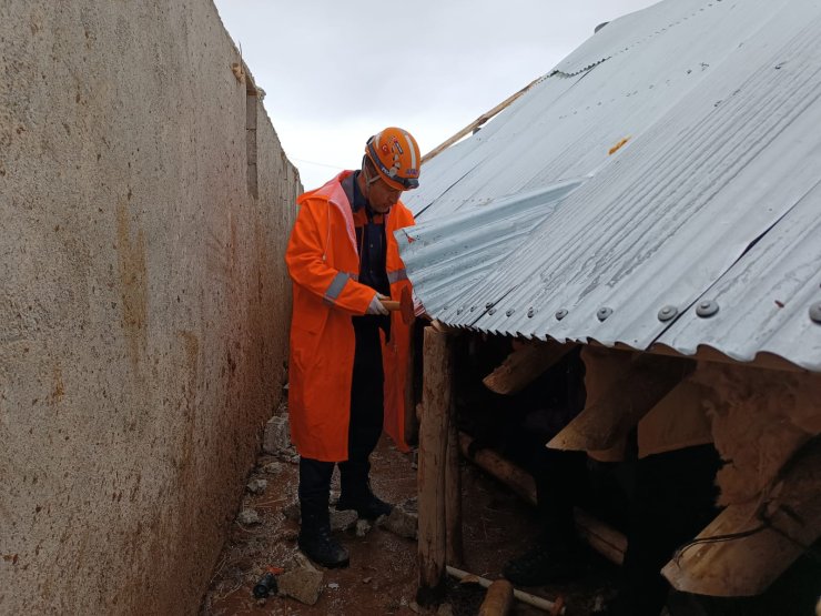 Van'da Çıkan Hortumda 22 Büyükbaş Öldü