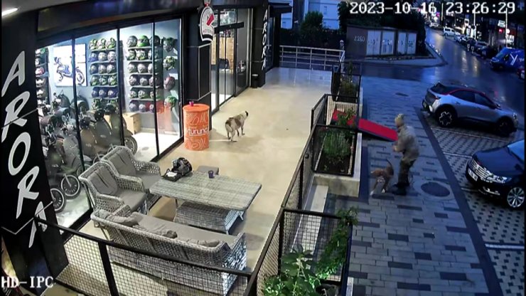 Avcılar'da Pitbullu Bıçaklı Saldırgana Gözaltı