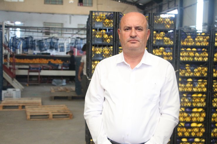 Bahçeden Bedavaya Alınsa Bile Limonun Tüketiciye Ulaşma Maliyeti 10 Lirayı Aşıyor