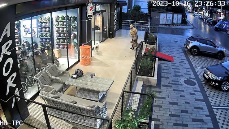 /ek Fotoğraflarla / Avcılar'da Pitbullu Bıçaklı Saldırgana Gözaltı