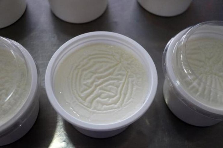 Prof. Dr. Korkut: Yoğurt Doğal Bir Antidepresan