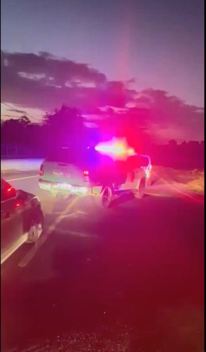 Sarıyer'de Bahisle Köpek Dövüştürenlere Baskın: 25 Gözaltı