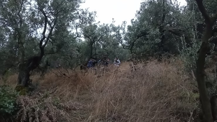 45 Gündür Kayıp Olan 2 Çocuk Annesi Genç Kadın, Zeytinlikte Ölü Bulundu