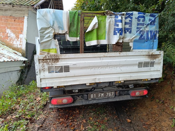 Belediye Personeli, Ölü Köpekleri Köye Bırakırken Yakalandı