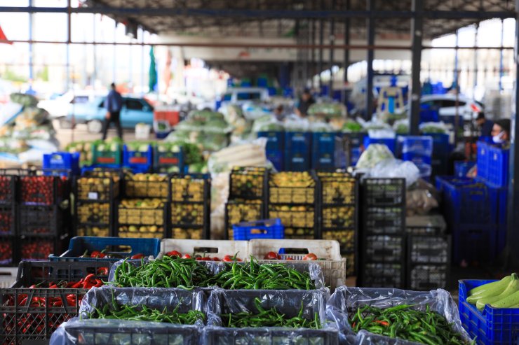 Bulgaristan Sınır Kapılarında Tır'cıların 'Analiz' Çilesi